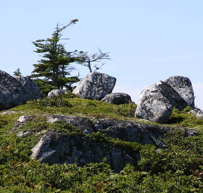 Peggy's Cove, Nova Scotia Memorial Swissair Flight 111  Photo: seemsArtless