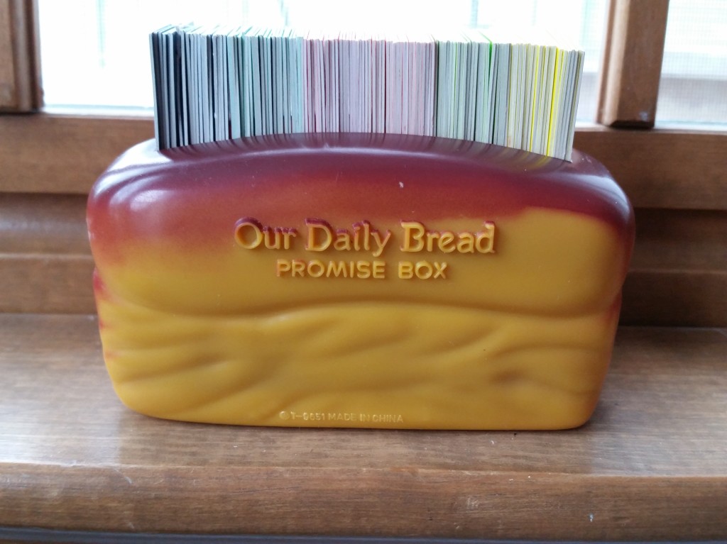 Our Daily Bread Promise Box