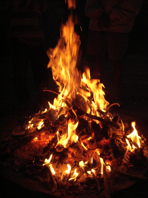 "Campfire Pinecone" by Emeldil at en.wikipedia. Licensed under CC BY-SA 3.0 via Commons