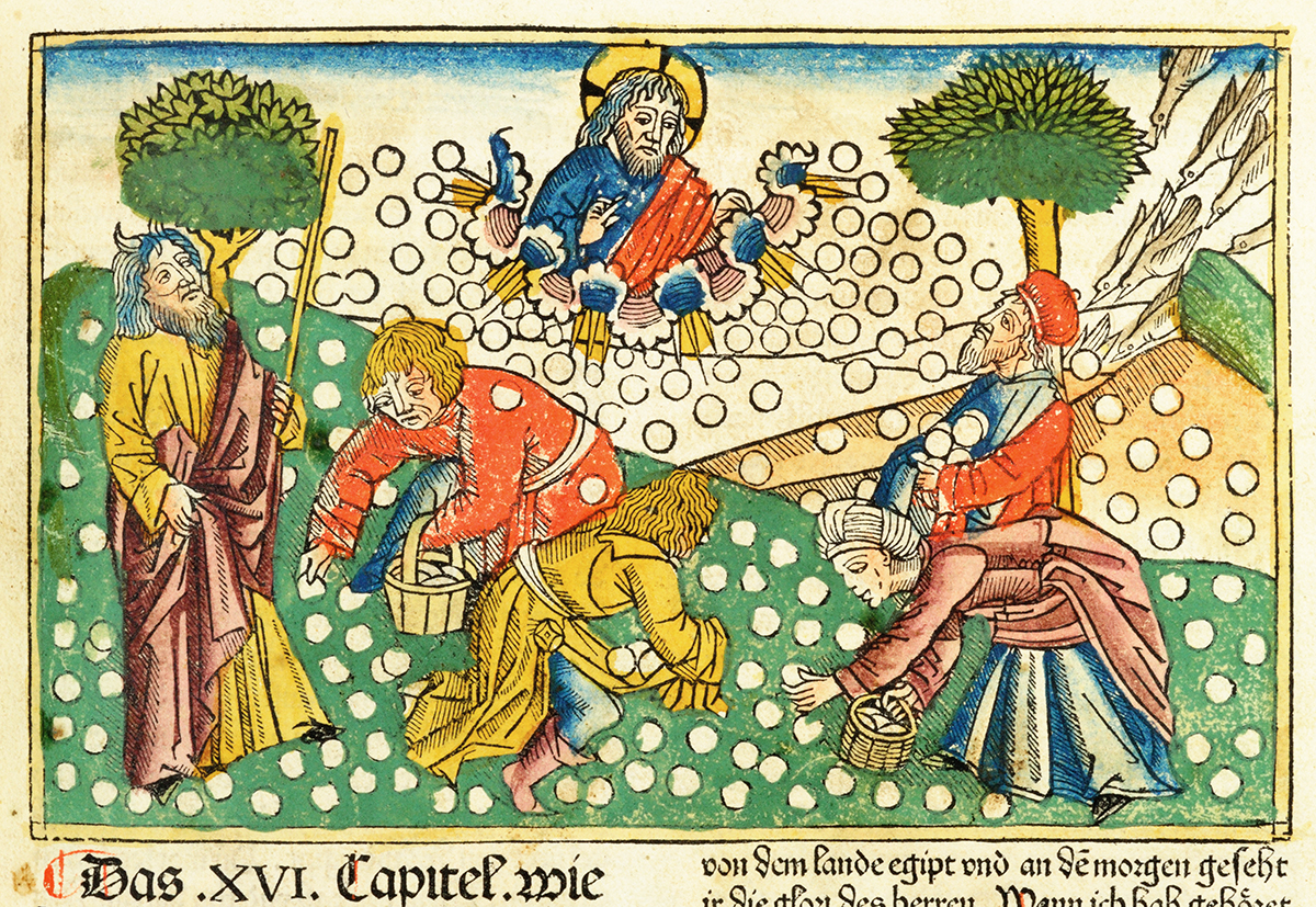 Gathering Manna German Bible, Nuremberg: Anton Koberger, 17 February 1483 Bridwell Library, SMU 